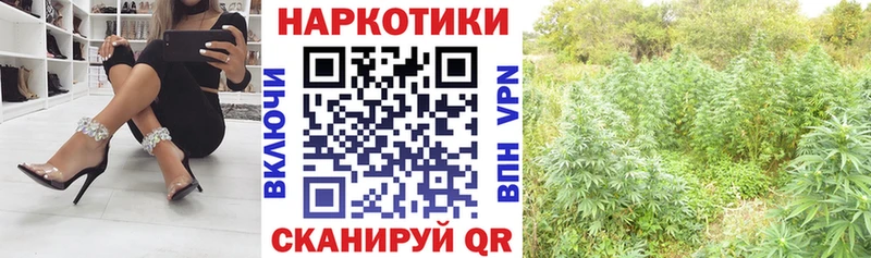 Купить наркотики сайты Почеп Cocaine ГАШИШ А ПВП Канабис