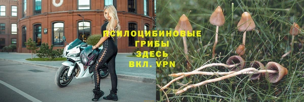 дмт Абдулино