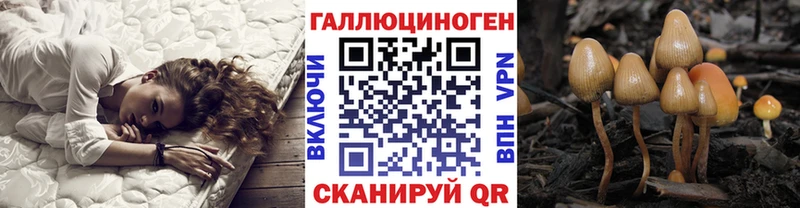 Псилоцибиновые грибы мицелий  Почеп 