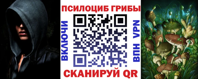 Галлюциногенные грибы прущие грибы Почеп